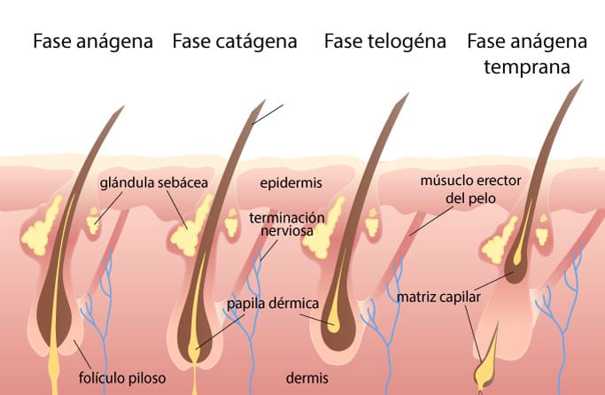 Depilación Láser Ourense